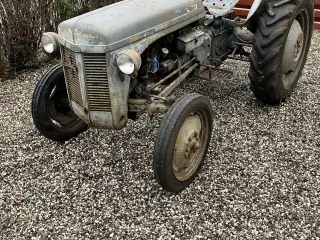 Ferguson TEA (31) Grå Ferguson