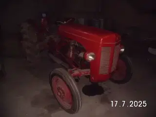 Ferguson 31