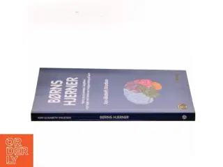 BØRNS HJERNER af Ann-Elisabeth Knudsen (Bog)