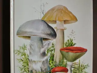 illustreret svampeflora, af jakob e. lange og mort