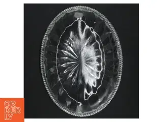 Glasfad (str. 22 x 16,5 cm)