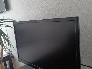 AOC E2470SWDA computer skærm