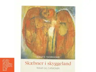 Skæbner i skyggeland af Birgitte Thorsohn (bog)