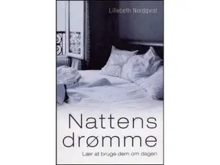 Nattens Drømme - Lær at bruge dem om dagen