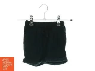 2 par shorts fra Petit (Str. 74)