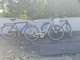 Lej en cykel Aalborg 