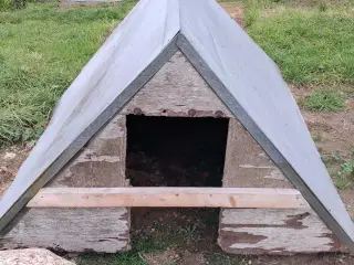 Grise/ får  hus  sælges 