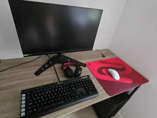 💻 High-end Gamer Setup – Topklasse ydeevne – Sælg