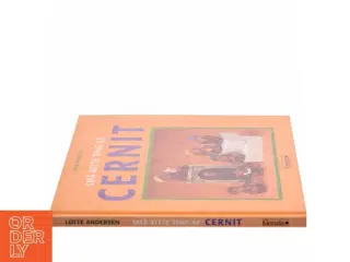Små bitte ting af cernit af Lotte Andersen (f. 1963-09-30) (Bog)