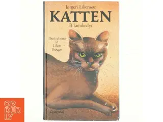 Katten. et familiedyr af Jørgen Liliensøe