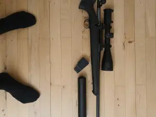 Sauer 100