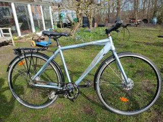 Mosquito Street Race