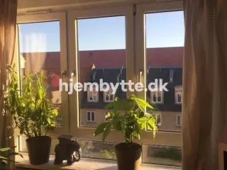 Hjembytte - Bremensgade