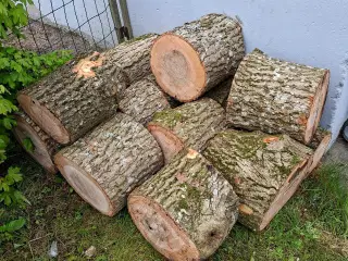 Askeklodser 30 cm.
