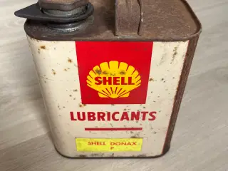 Shell donax dunk 2 l