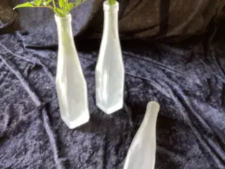 Matterede hvid glasflasker/vaser til en blomst 