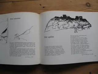 Hansaage Bøggild (red.). En global afkrog