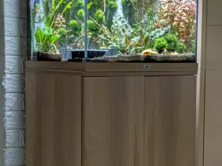 Juwel akvarie 125L