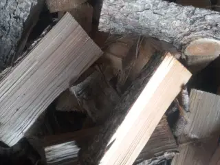 Brænde, nåletræ