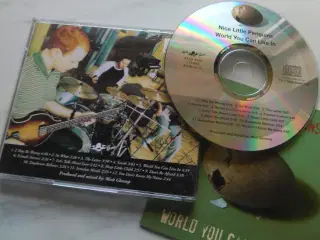 Nice Little Penguins: 3 CD'er Stk. 22 kr.