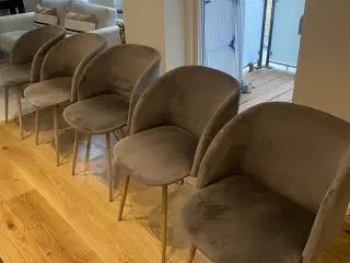 5 stole fra Søsterne Grene.