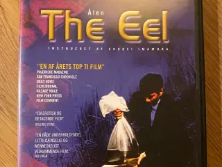 The eel