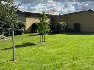 Andelslejlighed 70 kvm - stue etage