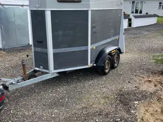 Heste trailer hambauer 
