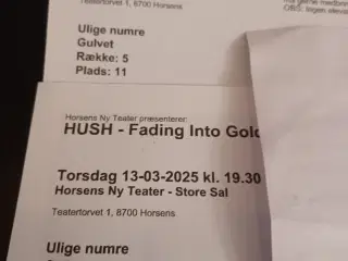 2 billetter til Hush koncert i Horsens d. 13-03