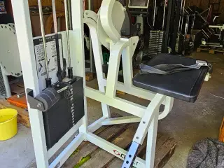 Cybex Back Extension