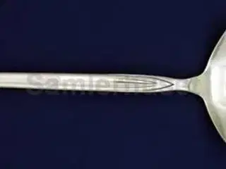 Marquis Sauceske, 17½ cm.