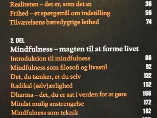 frihedens disciplin - mindfulness for moderne menn