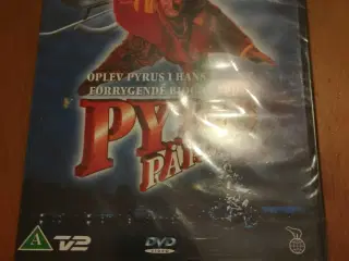 Pyrus på pletten. Hele ny og stadig i folie 