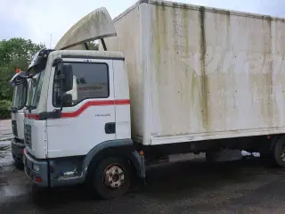 Lastbil MAN TGL 8.180