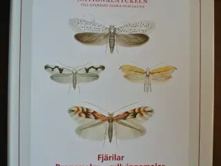 fjärilar: bronsmamalar-rullvingemalar. lepidoptera