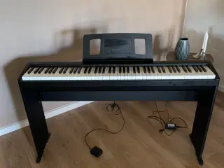 Piano - Rolandserien