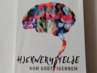 Hjernerystelse kom godt igennem, 