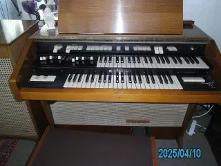 hammond orgel