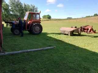 Skive høster