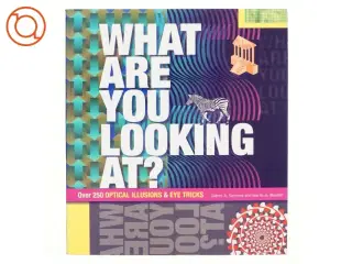 What are You Looking At? af Gianni A. Sarcone, Marie-Jo Waeber (Bog)