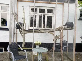 Kattevoilere 