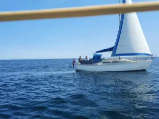 Tur 84 sejlbåd
