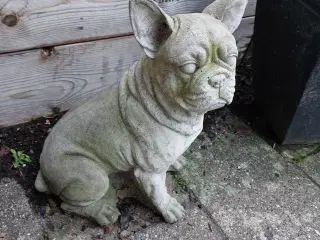 Beton figur af Fransk bulldog 