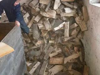 Brænde blandet løv