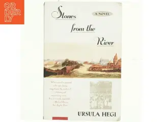 Stones from the river af Ursula Hegi (Bog)