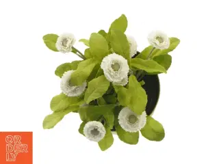 Kunstig plante med potte fra IKEA (str. 12 cm)