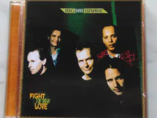 Big Fat Snake Fight For Your Love (1996  