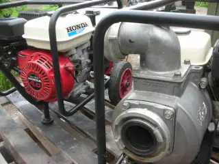 Honda 2 og 3 tommer vandpumper.