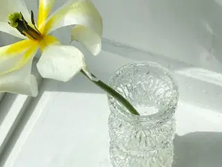 Oberglas Austria, hyacintvase