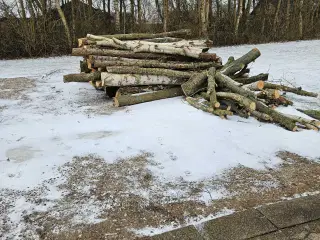 Blandet træ sælges.